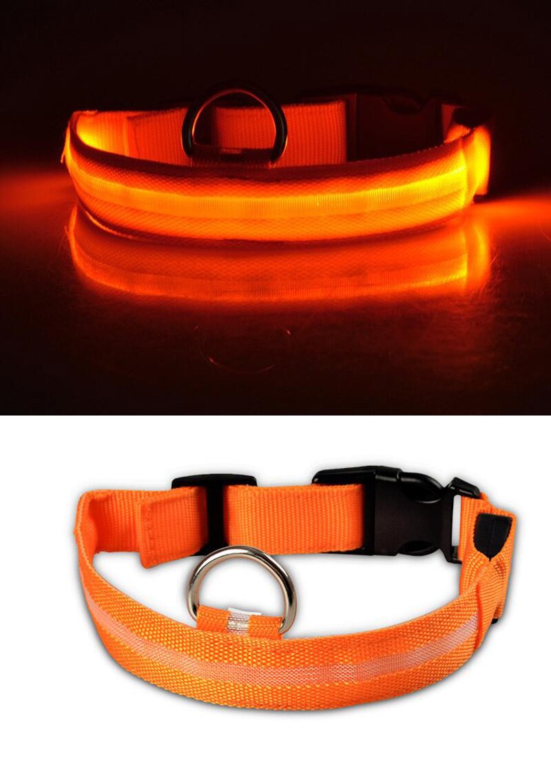 Collar-Orange