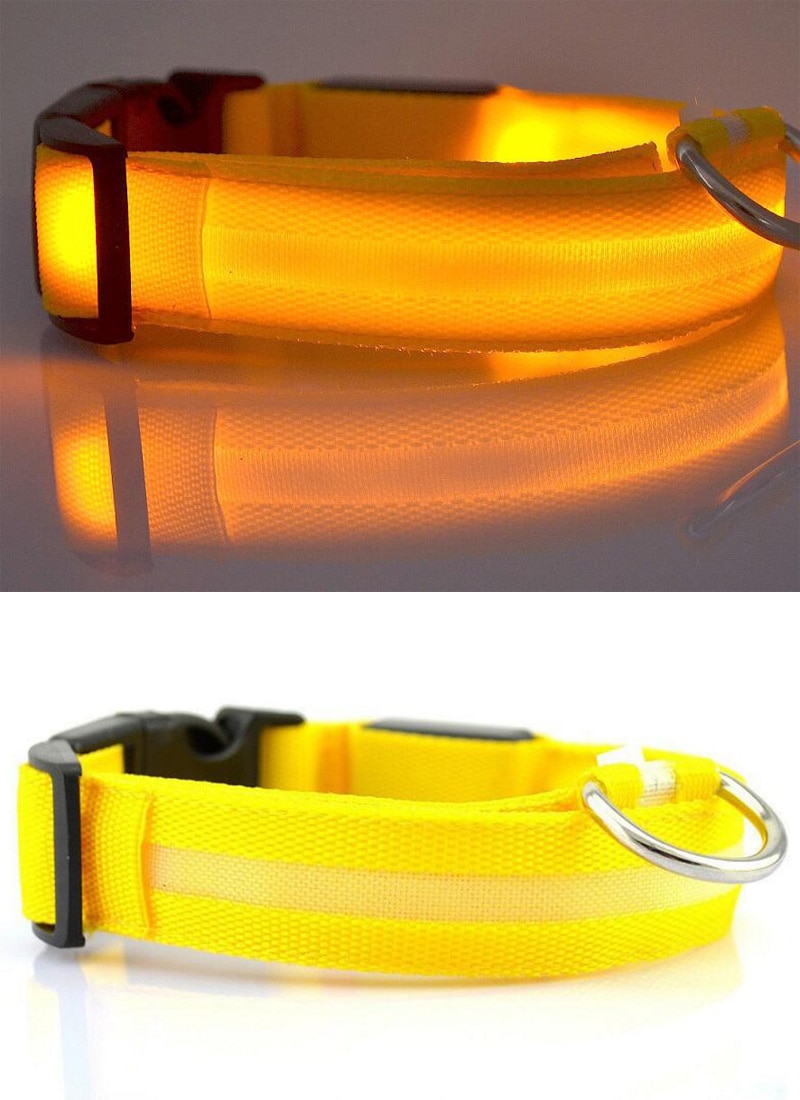 Collar-Yellow