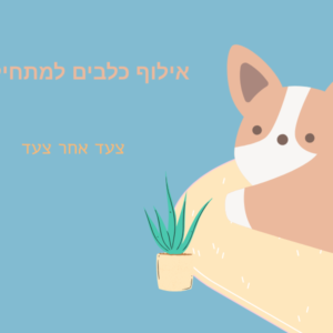 אילוף כלבים למתחילים